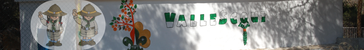 ValleScout