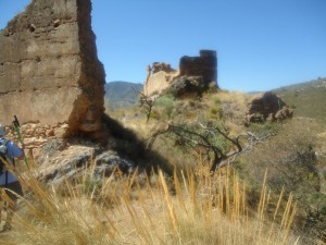 DSC00751