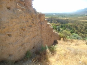 DSC00752