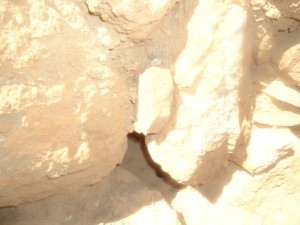 DSC00772